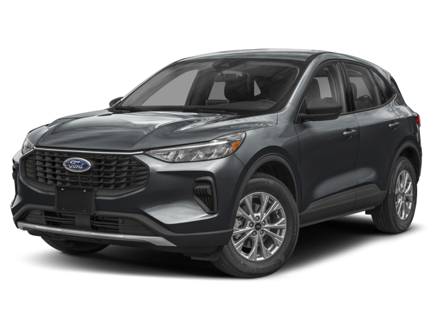 The ford escape active trim.