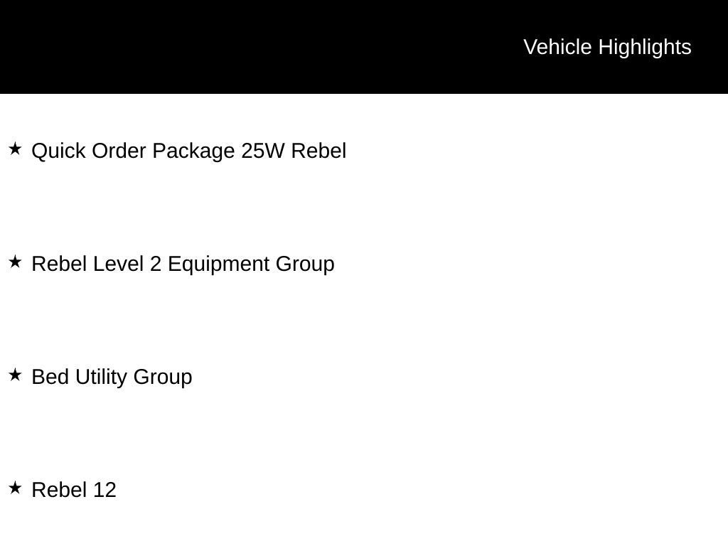2020 RAM 1500 Rebel