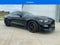 2017 Ford Shelby GT350 Shelby GT350