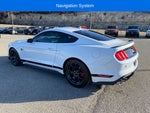 2021 Ford Mustang Mach 1 Fastback
