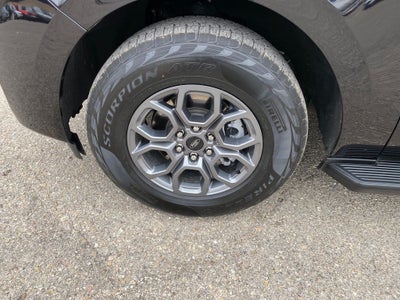 2025 Ford Expedition Active MAX