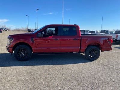 2025 Ford F-150 STX