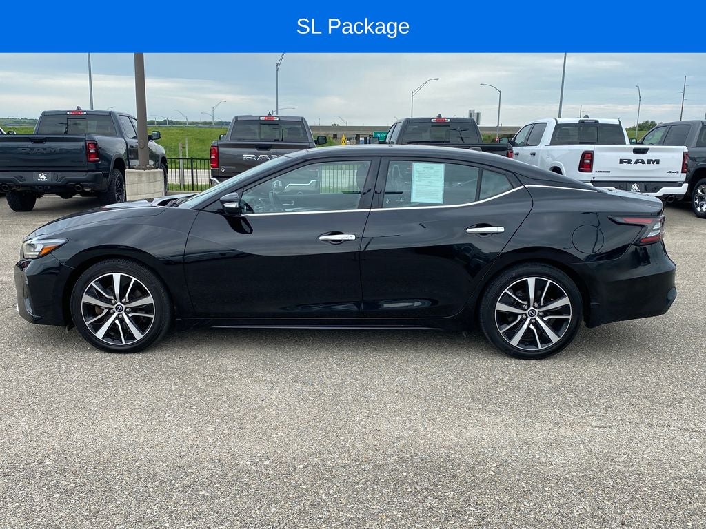 2023 Nissan Maxima SL