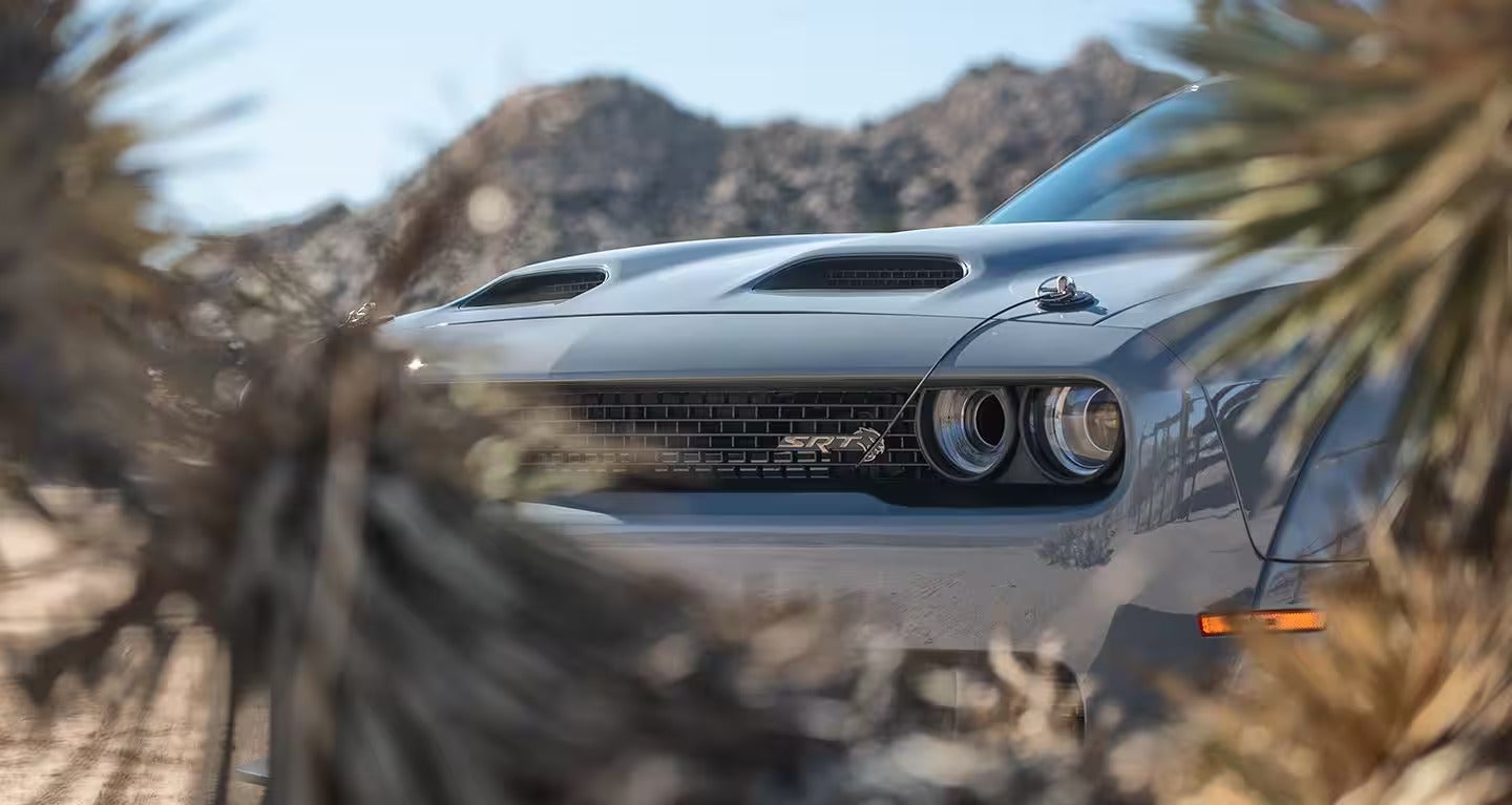 A gray car parked behind a tree.