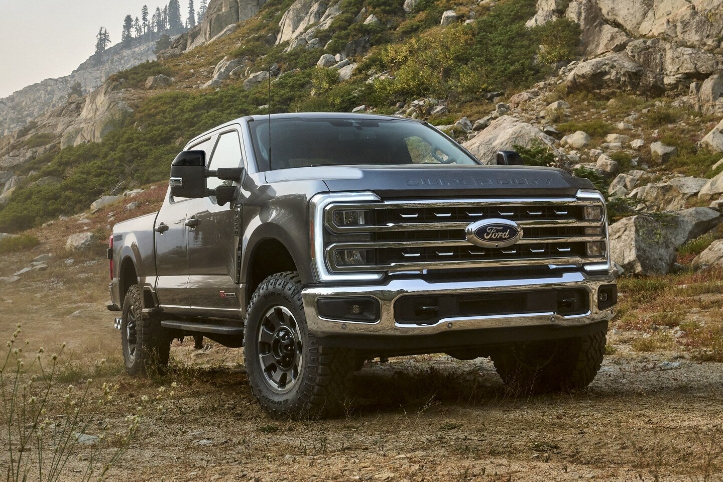 A super duty sitting parked on the grass.